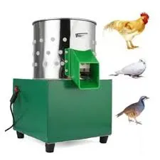 large scale poultry housing