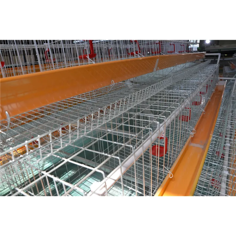 cage free poultry