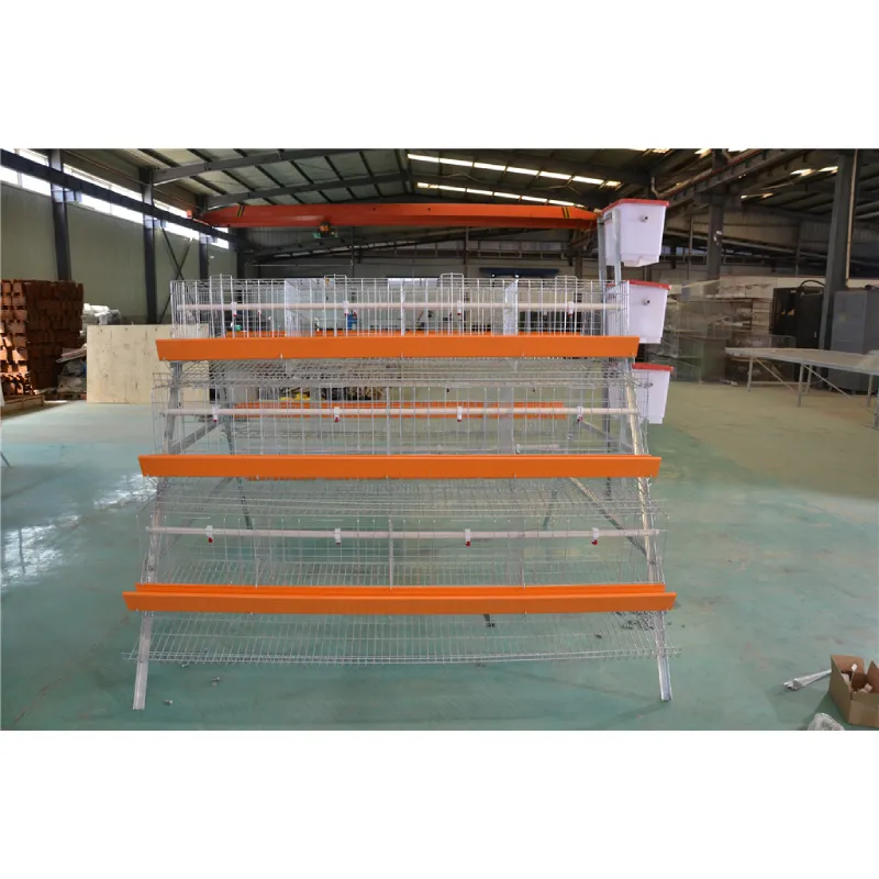 Automatic egg collecting system egg collection machine
