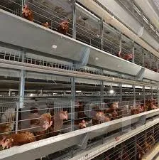 commercial poultry housing