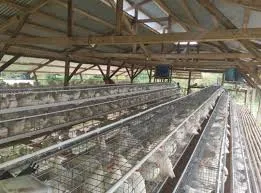 rabbit cage