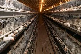 chicken travel cage