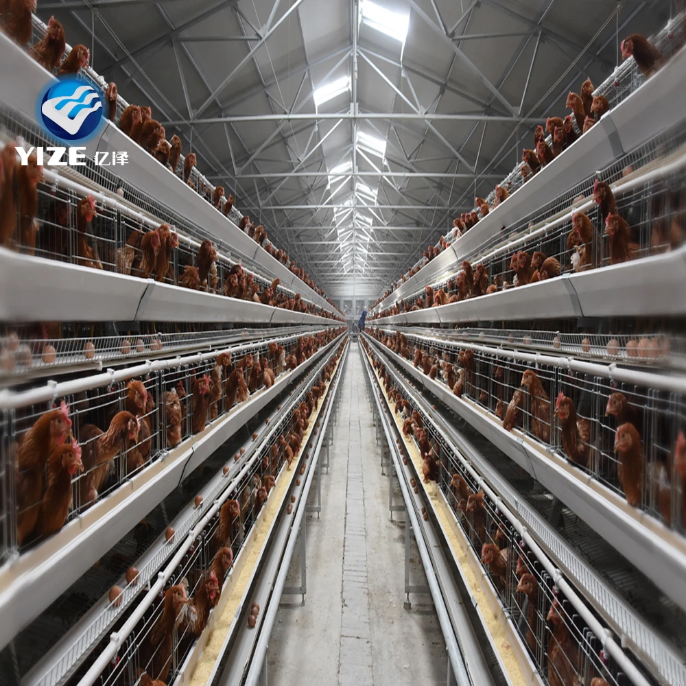 96,120,128,160 Birds Layer Poultry Battery Chicken Cages