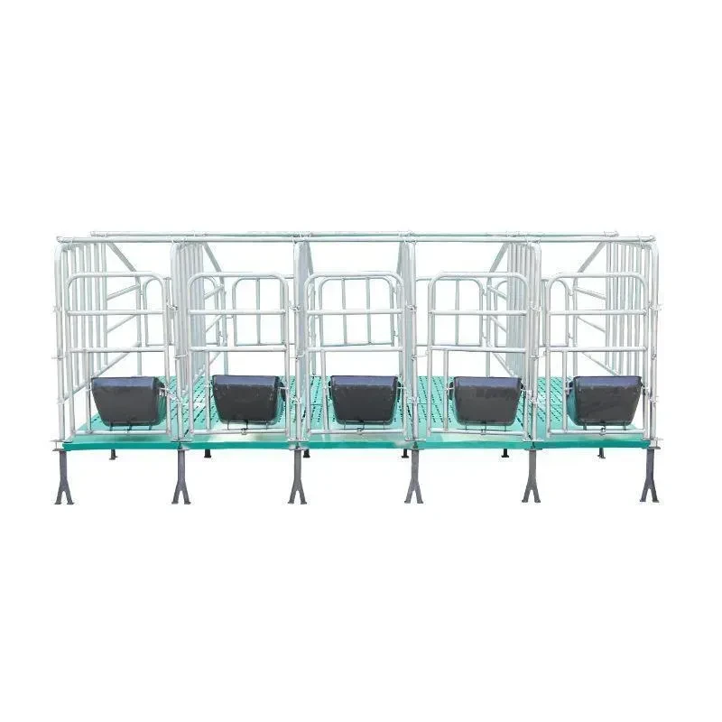 Sow Gestation Pen 