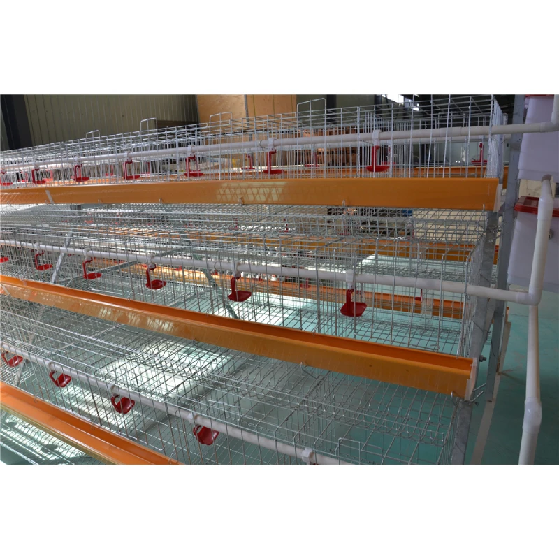 Elevate Your Poultry Business with Premium Poultry Cages for Sale