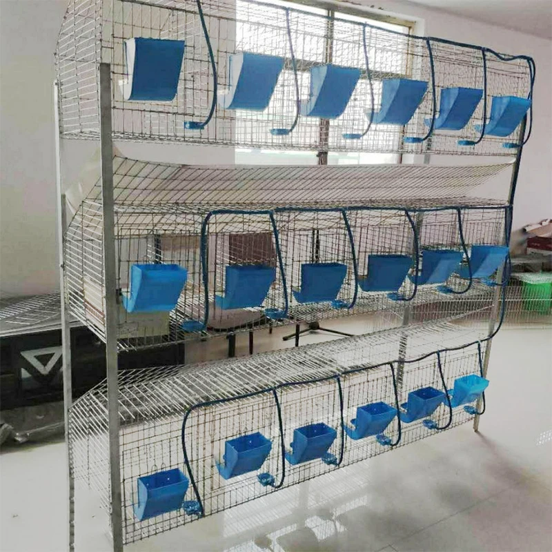 High-Quality Rabbit Cages