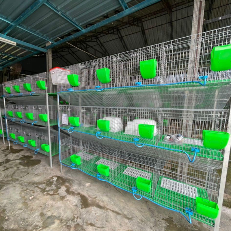Automatic Feeding Line System Pan Feeder Nipple Drinker