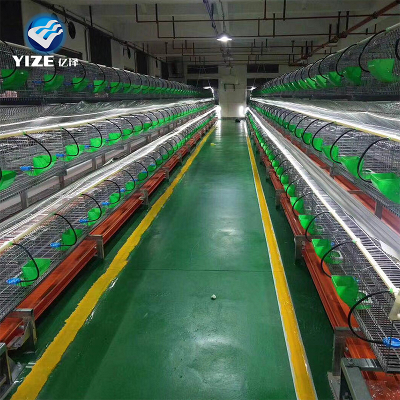 European 24 digit breeding cage