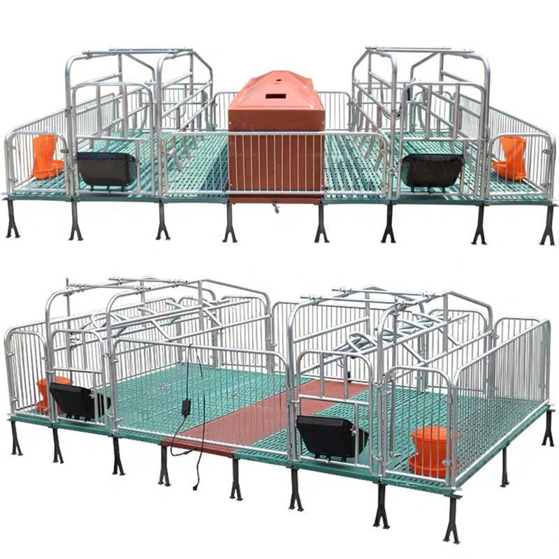 modern poultry house