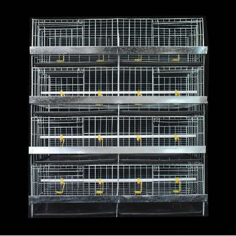 poultry cage suppliers