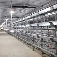 chicken egg layer cages