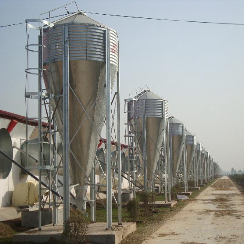 gabbia a strato di pollo per il pollame