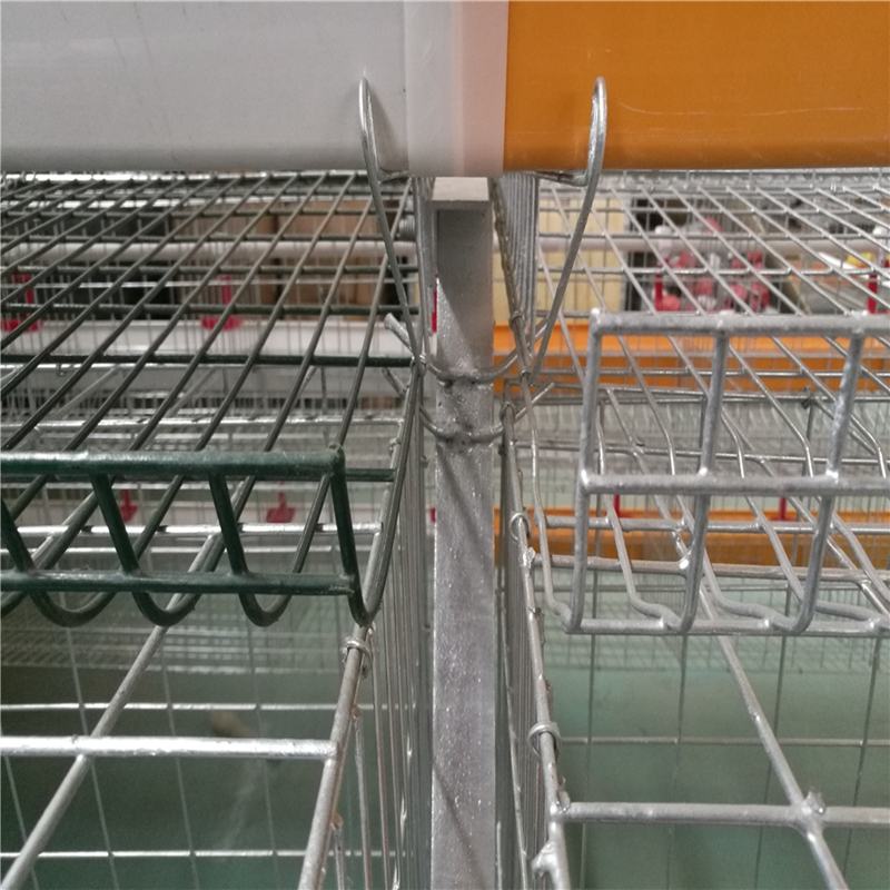 slaughter washer and cleaner