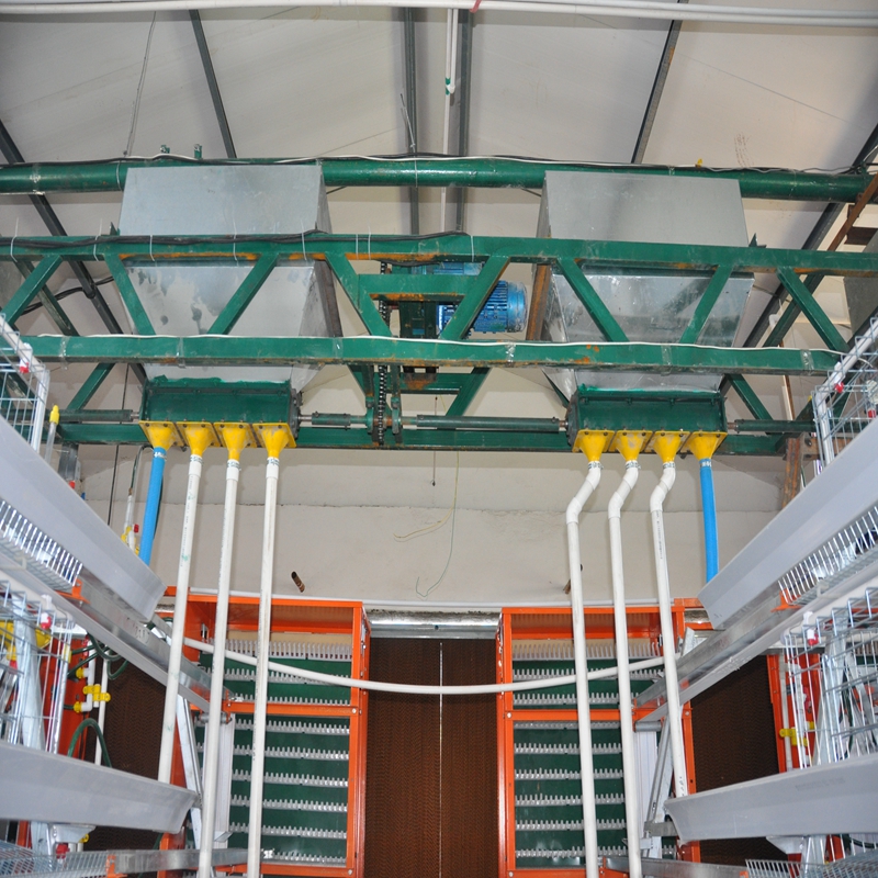chicken feet processing machine