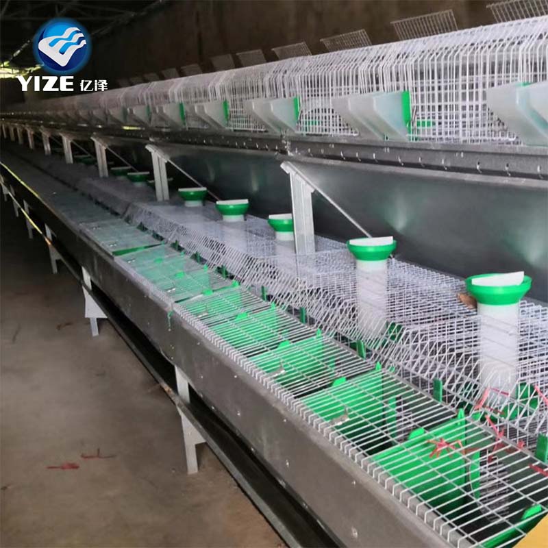 brooder cage for chicks