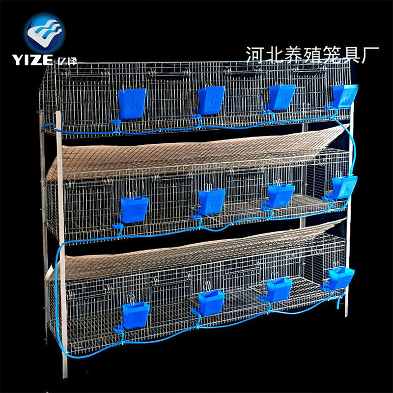 chick brooder cage