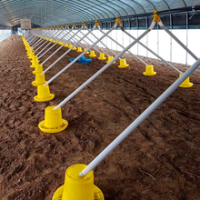 cages for layer poultry