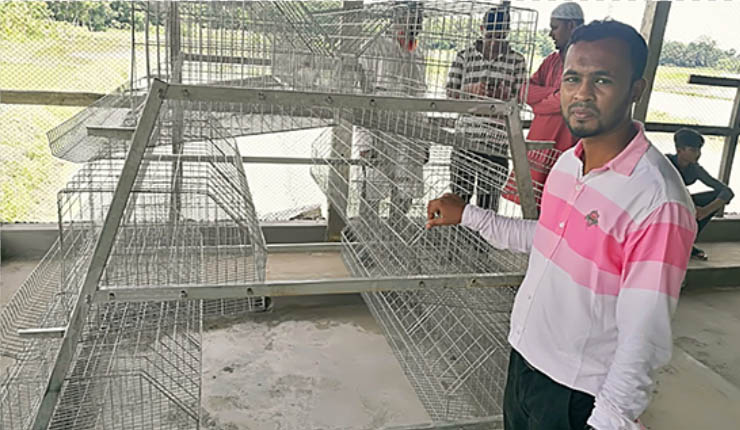 chicken wire rabbit cage
