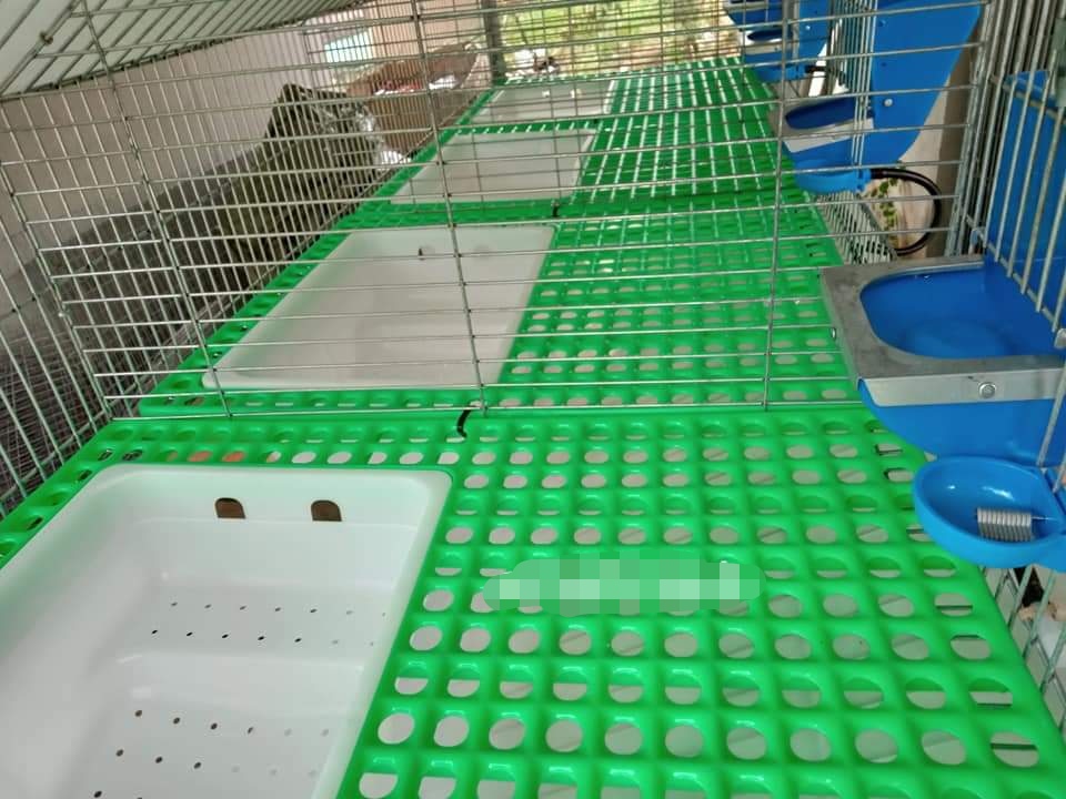 poultry cage supplies