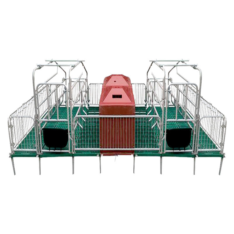 chicken cage