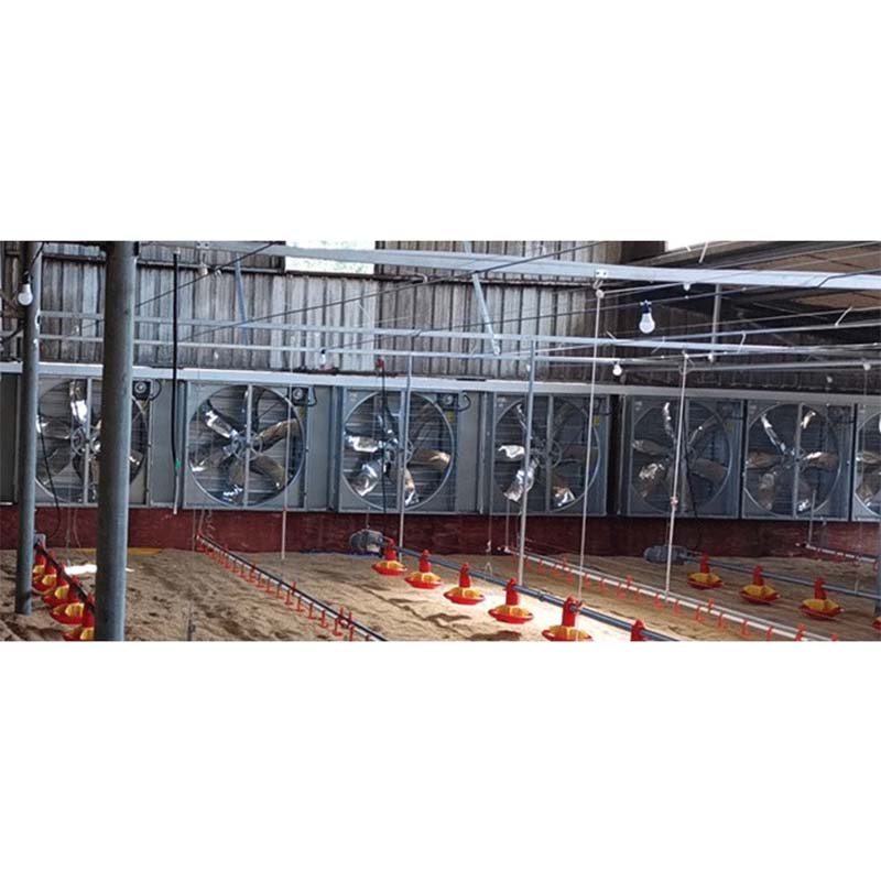 poultry farm layer cage