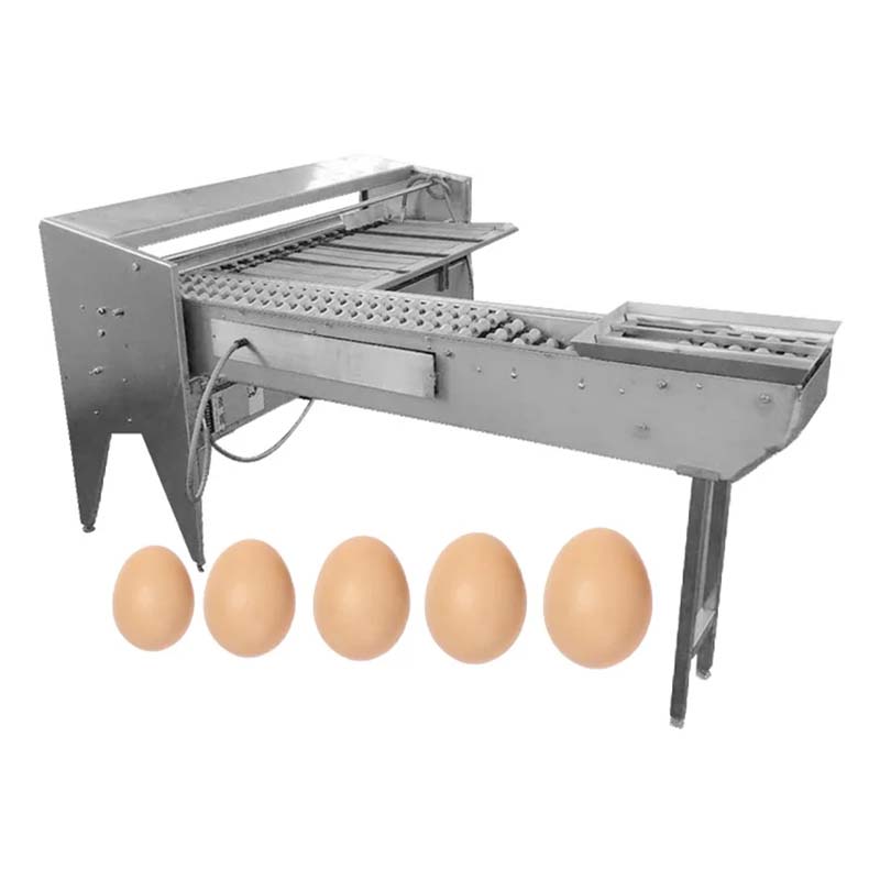 poultry cage suppliers