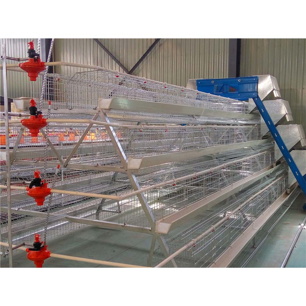 cage poultry farming