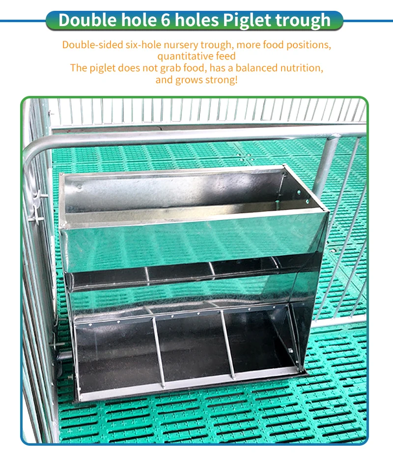 chicken laying cages for sale