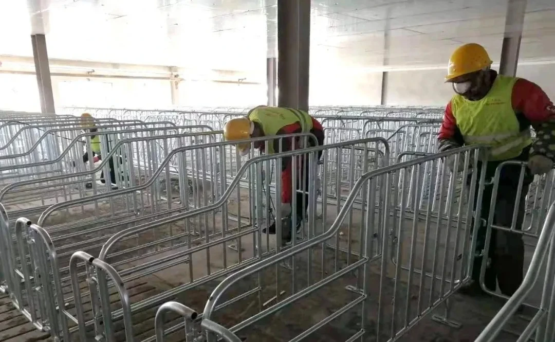 poultry farm layer cage