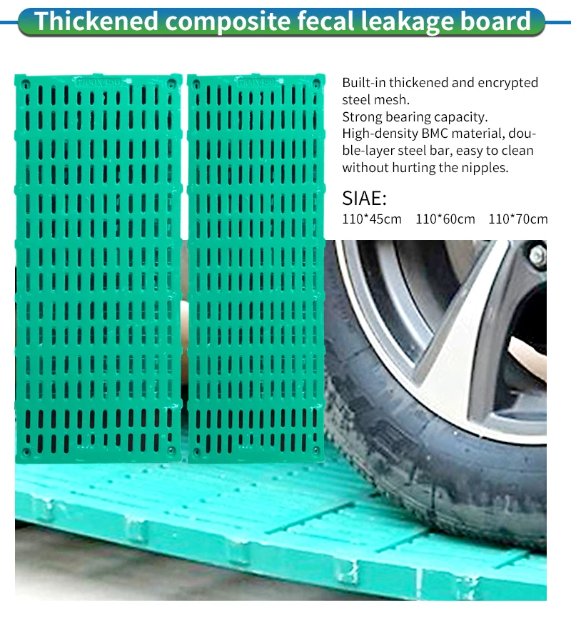 chicken egg layers cage supply