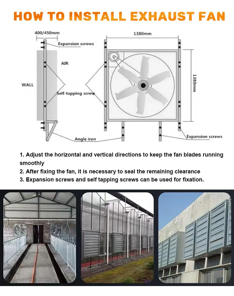 cage layer chicken