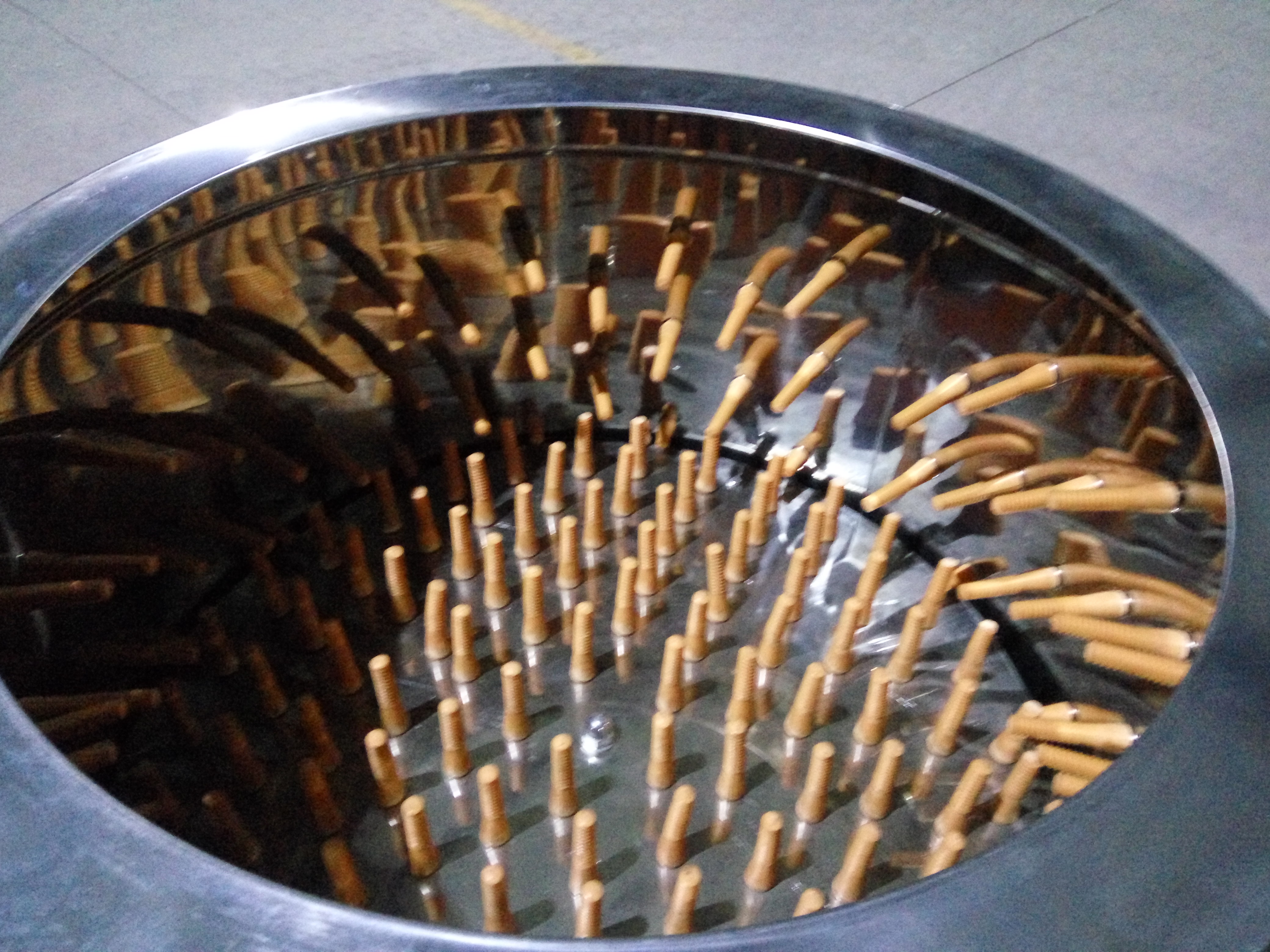 baby chick cages for sale