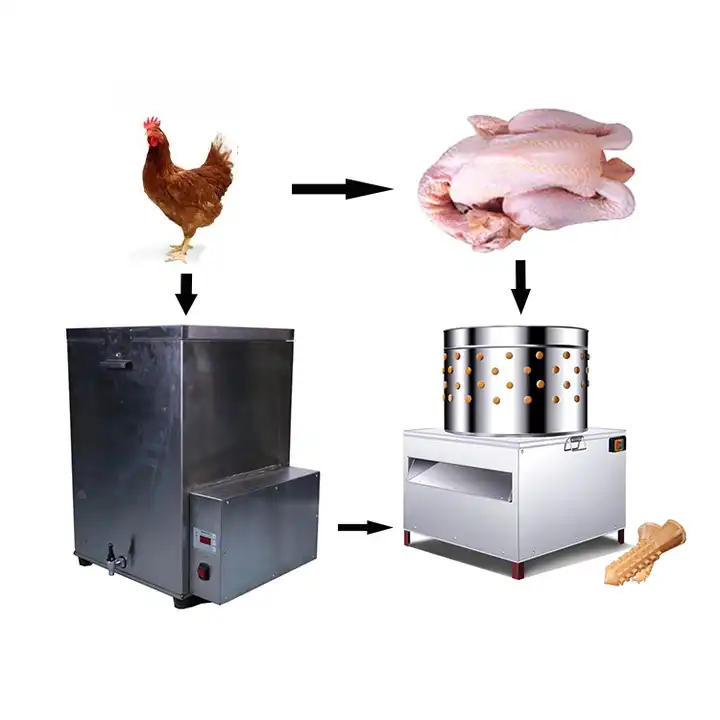 free range poultry housing