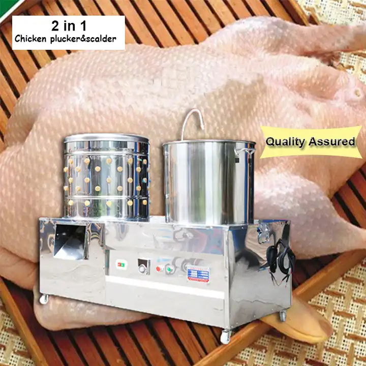 automatic drinking line