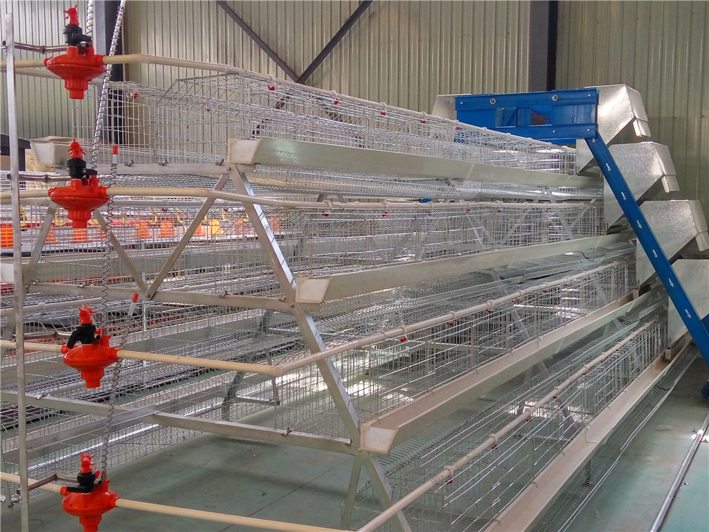 chicken layer cages for sale